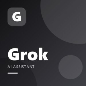 Grok xAI API key $100 1 Month (30D Warranty)